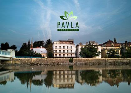 Hotel Pavla Piest'any Extérieur photo
